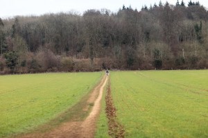 Sulham Woods